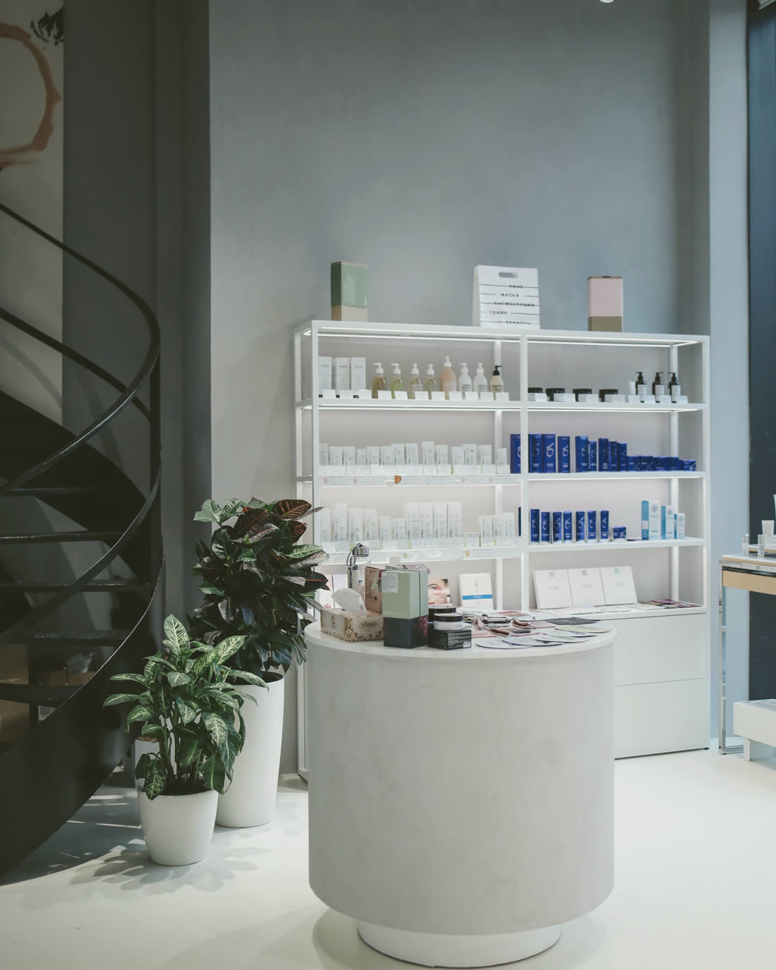 A skincare store with white shelving and plants