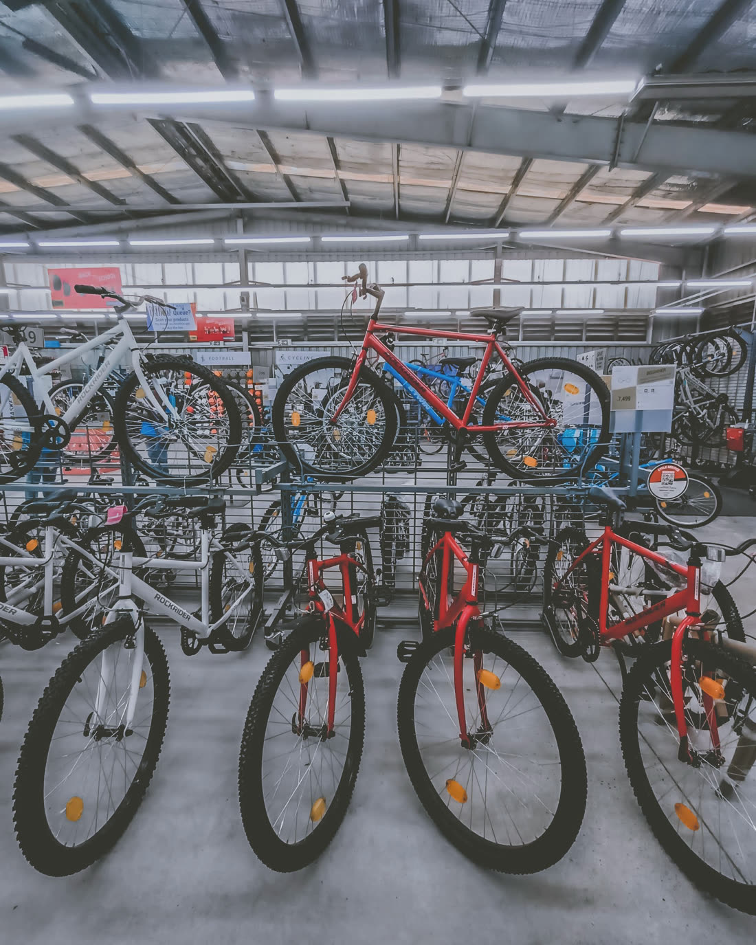Bikes on display racks in a large bike store