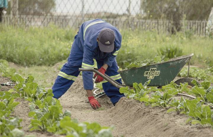 Grounds maintenance worker at a site